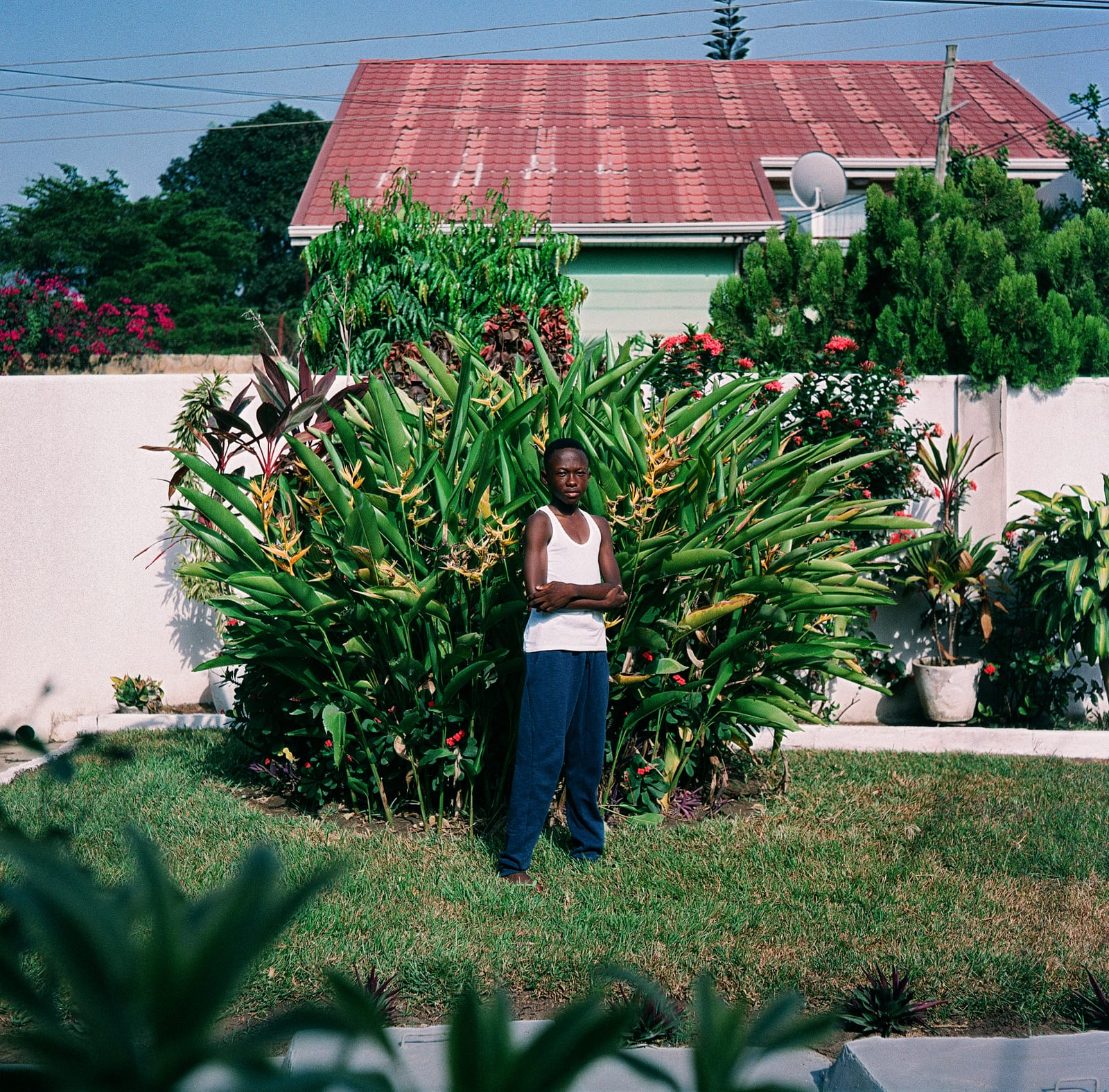 Papa, image 2