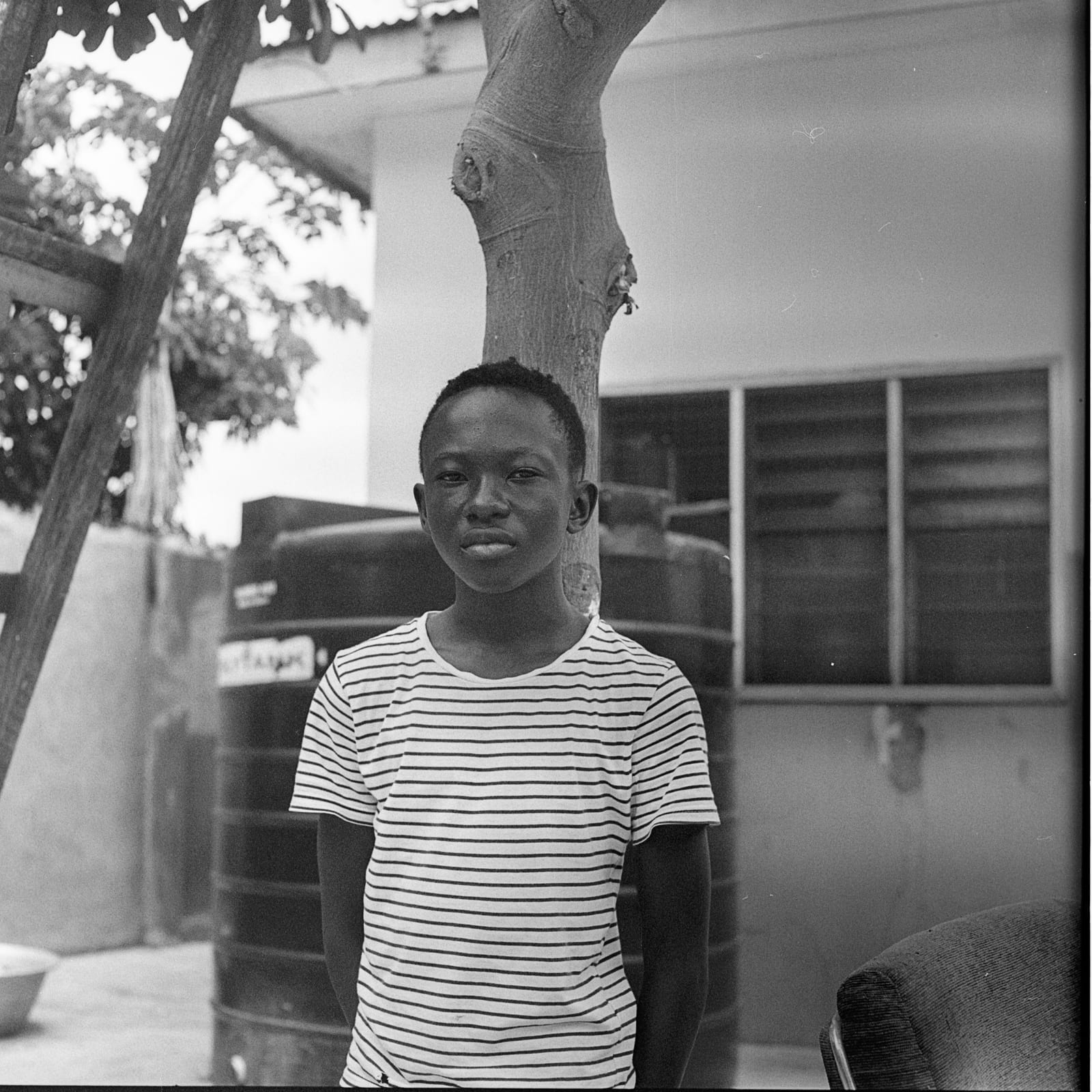Papa, image 7