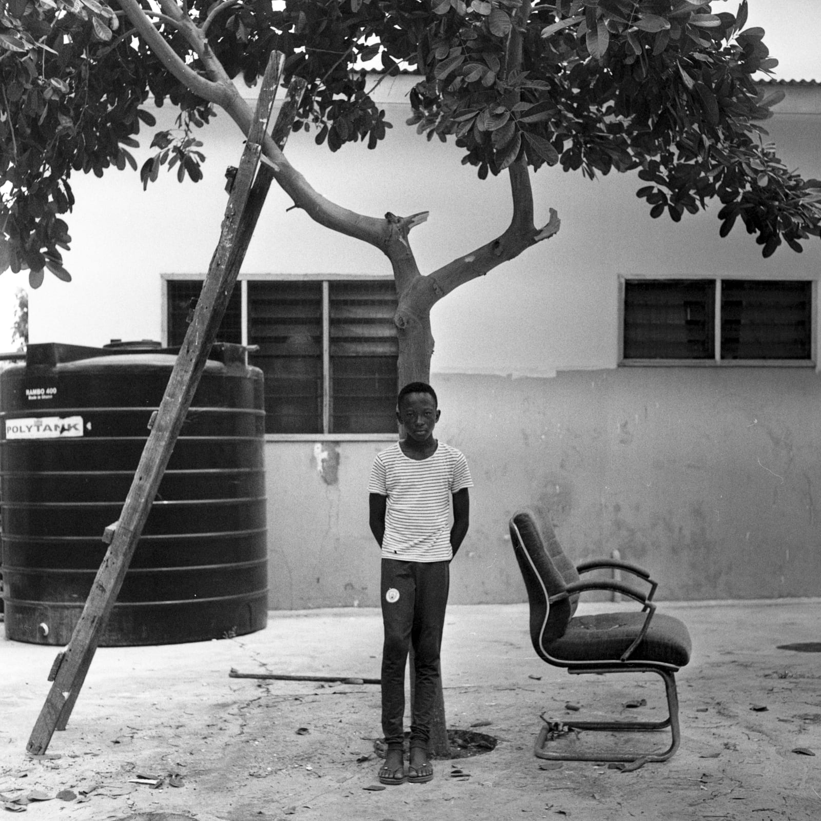 Papa, image 8