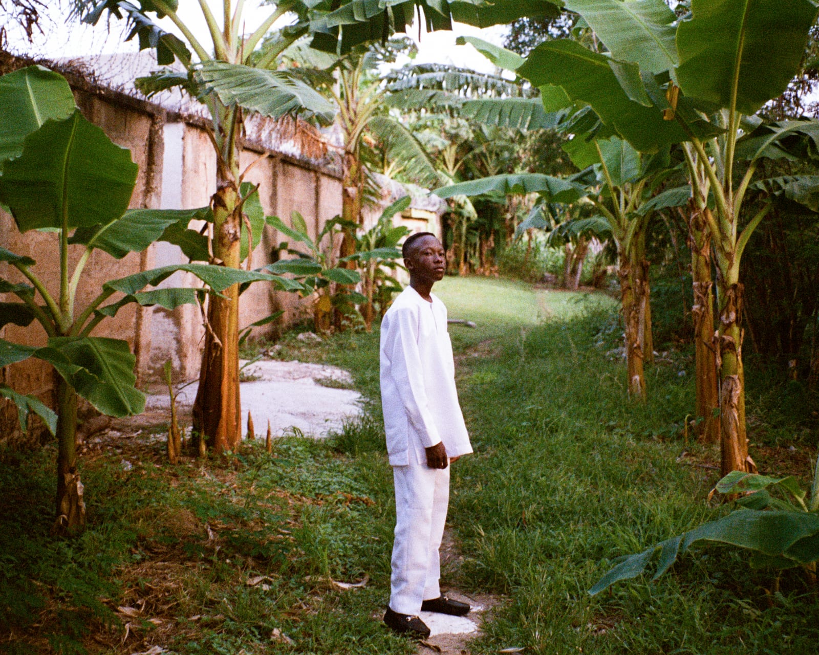 Papa, image 10